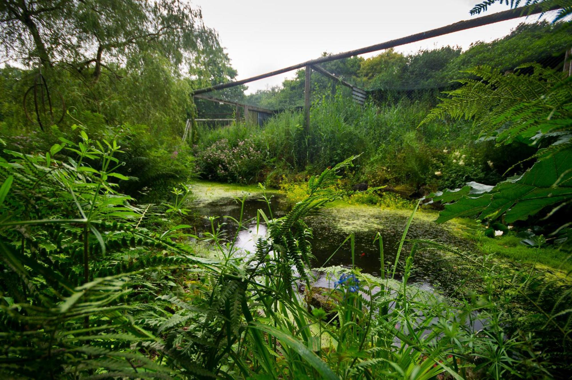カーライルBird Nest - Private Retreatアパートメント エクステリア 写真